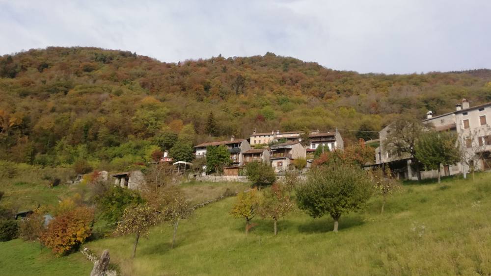 Add this to Coliving Activities Slider